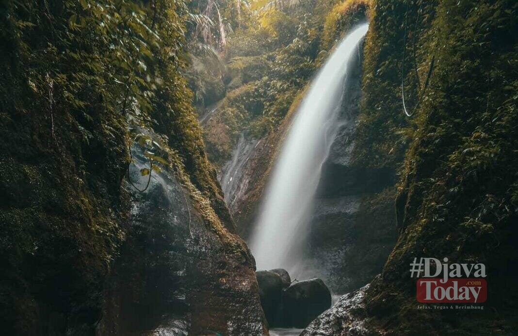 Curug Kiara Bogor Wisata Air Terjun Yang Memacu Adrenalin