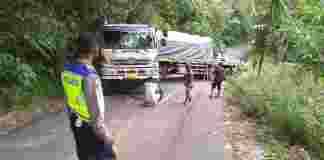 Truk Trailer