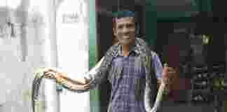 Ular Sanca Kabur Usai Ditangkap, Warga Ciamis Resah