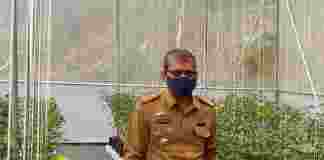 Desa Tangguh