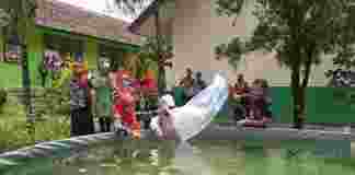 Produksi Ikan Konsumsi di Ciamis