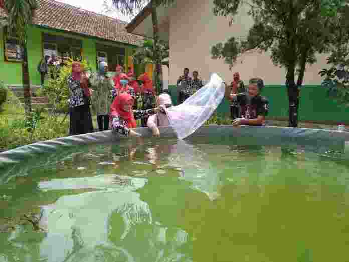 Produksi Ikan Konsumsi di Ciamis