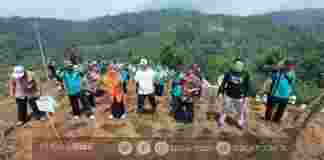 SMK Negeri 1 Panjalu Kabupaten Ciamis, Jawa Barat, berbondong-bondong menanam jahe merah.