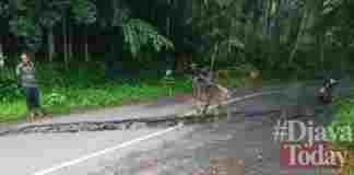 Jalan Penghubung Cidolog dan Cimaragas Ambles