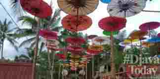 kampung teratai cimaragas