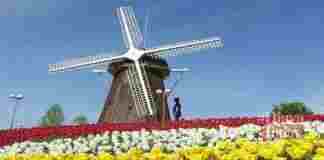 Kampoeng Tulip Bandung