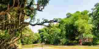 kampoeng wisata waterjump