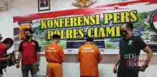 Benih lobster di Pangandaran