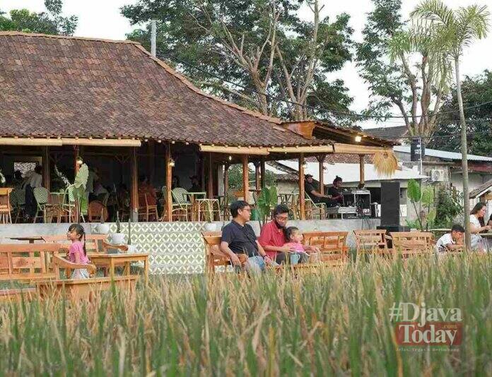 Coffee shop bernuansa sawah