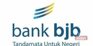 Perusahaan IT berskala nasional