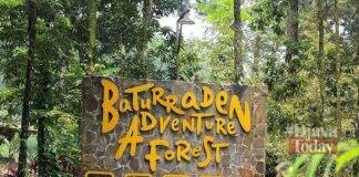 Baturraden Adventure Forest