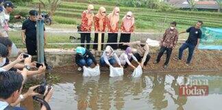 Simbolis Pembagian Ikan Kepada Warga oleh Kepala Dinas Peternakan Ciamis Syarif Nurhidayat Dalam Rangkaian Hut Ciamis Ke 380