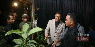 pertumbuhan ekonomi ciamis