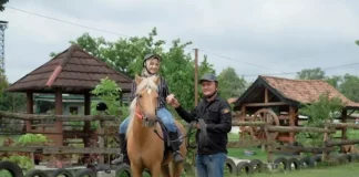 Ronce Stable Sukoharjo