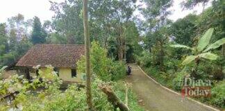Teror macan tutul