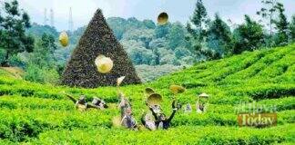 Asstro Highlands Ciater
