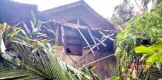 Rumah Tertimpa pohon