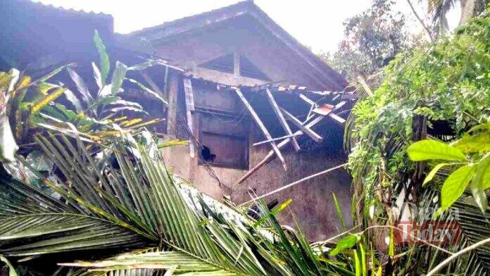 Rumah Tertimpa pohon