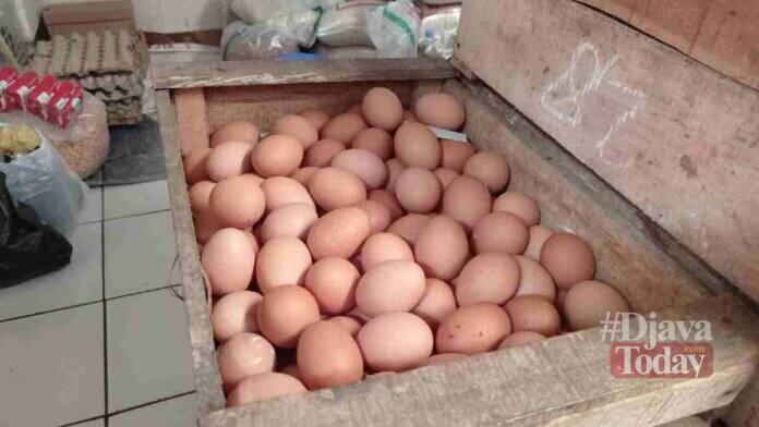 Harga Telur Ayam