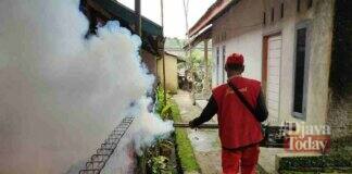 Terjangkit DBD