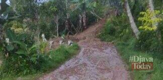 Jalan desa