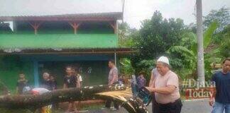 Pohon tumbang tutup jalan