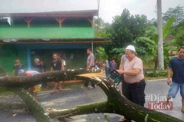 Pohon tumbang tutup jalan