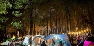 Jungle Milk Lembang