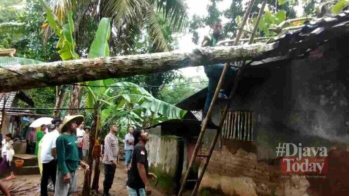 Rumah Tertimpa pohon