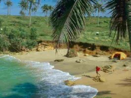 Pantai Solokan Saat