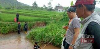 Lansia sungai