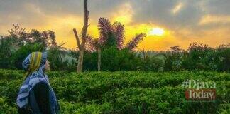 Pondok Halimun Sukabumi