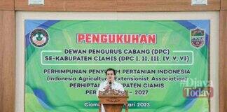 Penyuluh pertanian