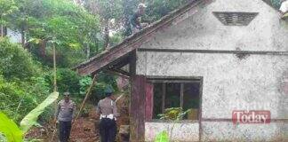 Rumah warga tertimpa pohon