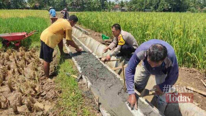 Pembangunan Tersier