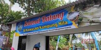Kampung Perikanan cerdas
