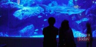 Ide Ngedate Bareng Pacar