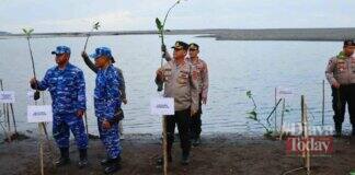 Cegah Abrasi Pantai