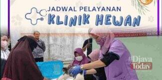 Layanan klinik hewan