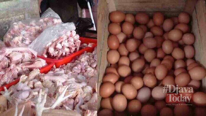 Daging Telur ayam