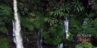 Objek Wisata Curug Cihanyawar