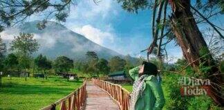 Wisata Kebun Teh Sikatok