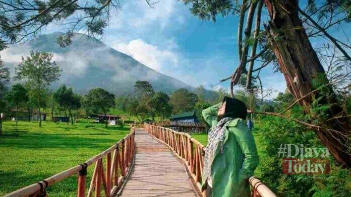 Wisata Kebun Teh Sikatok