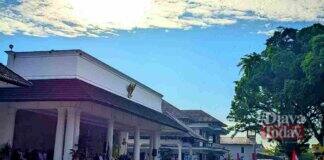 Kodol cuang ciamis