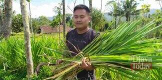 Petani Milenial ciamis