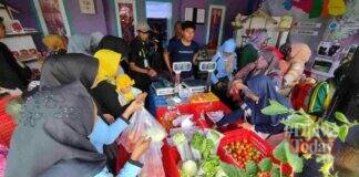 Aneka Sayuran