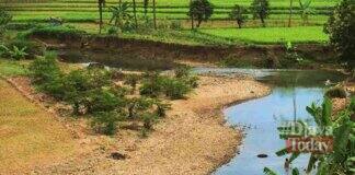 Hemat Air di Kemarau