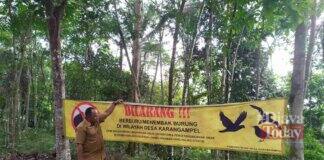 Berburu Burung