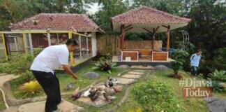 Kebun binatang mini ciamis