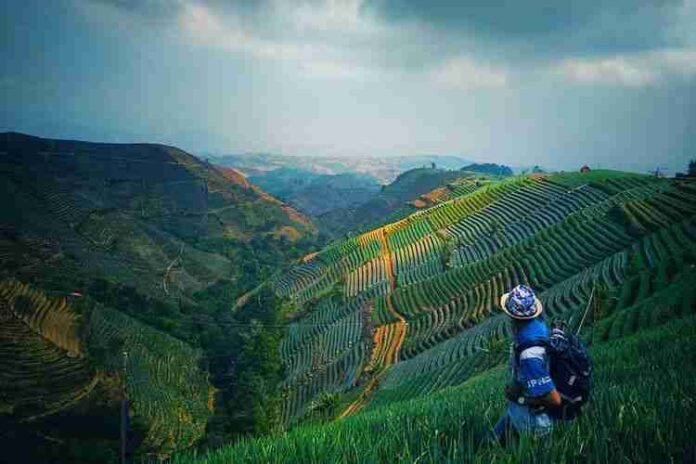 Bukit Mercury Sayang Kaak